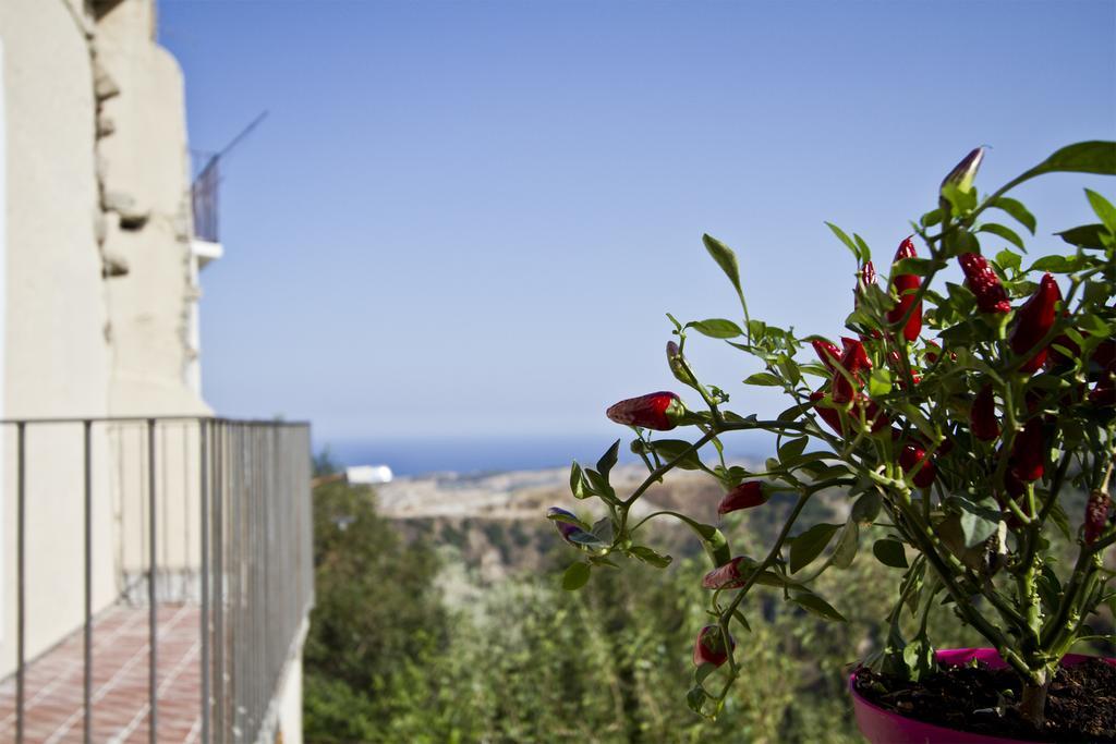B & B Stillachiara Badolato Marina Kültér fotó